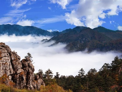 贵阳神农架：秘境之旅，云海奇观，草原牧歌，探寻世外桃源